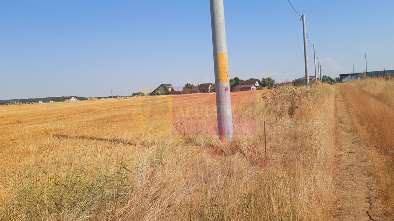 Teren pentru casa/case in Branesti pe strada Toporasi
