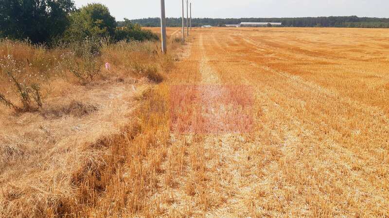 Teren pentru casa/case in Branesti pe strada Toporasi