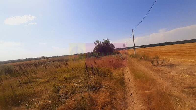 Teren pentru casa/case in Branesti pe strada Toporasi