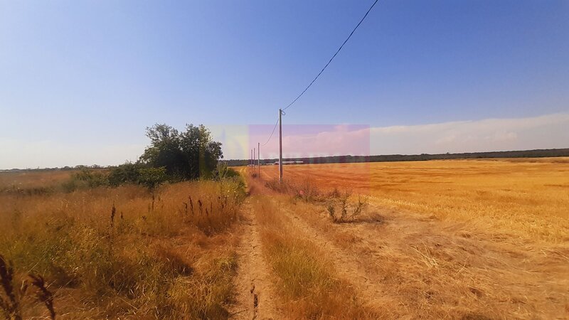 Teren pentru casa/case in Branesti pe strada Toporasi