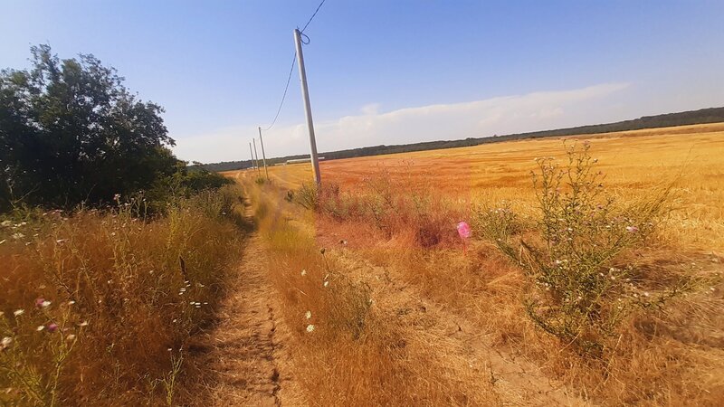 Teren pentru casa/case in Branesti pe strada Toporasi